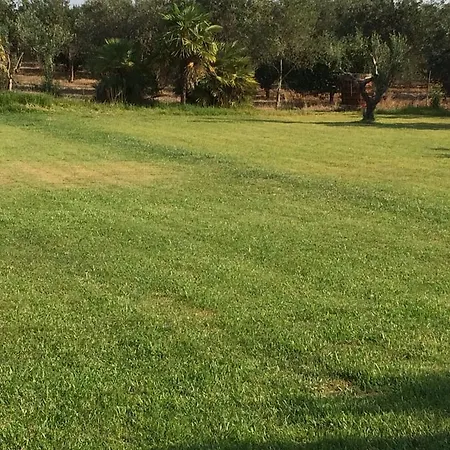 Tenuta Annibale *