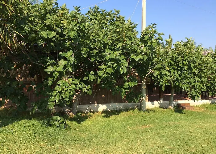 Tenuta Annibale Vakantieboerderij